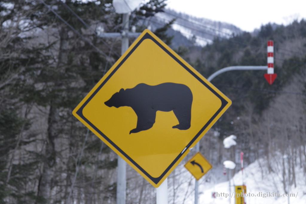 場所：熊に注意